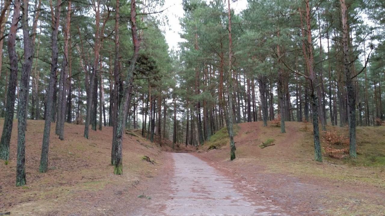 Apartament Nr 39 Baltic Park Stegna  Bagian luar foto
